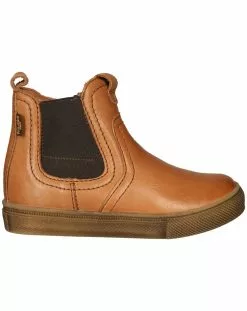 Titelseite -Froddo Verkaufsshop chelsea boots tomy tex in cognac 599898807